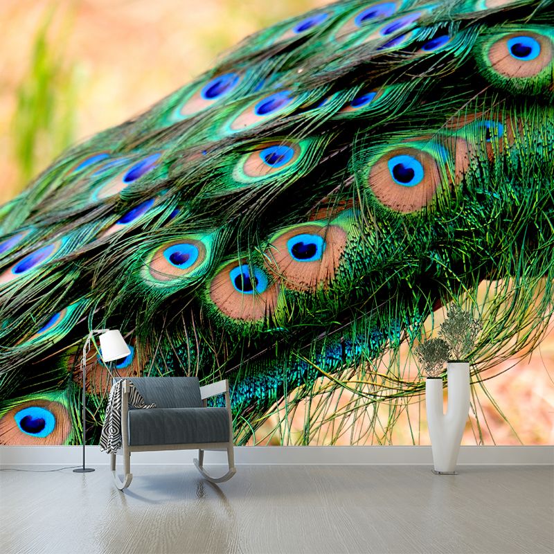 Beautiful Peacock Feathers Mural Customized Modern Wall Covering for Bedroom