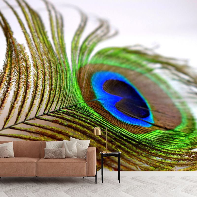 Feather Printed Peel and Stick Wallpaper Photography Bedroom Modern Moisture Resistant