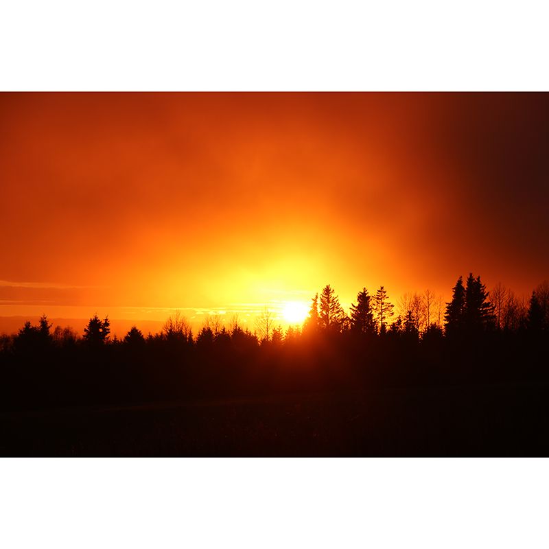 Sunset View Removable Wall Mural Modernist Wall Covering for Bedroom Decor