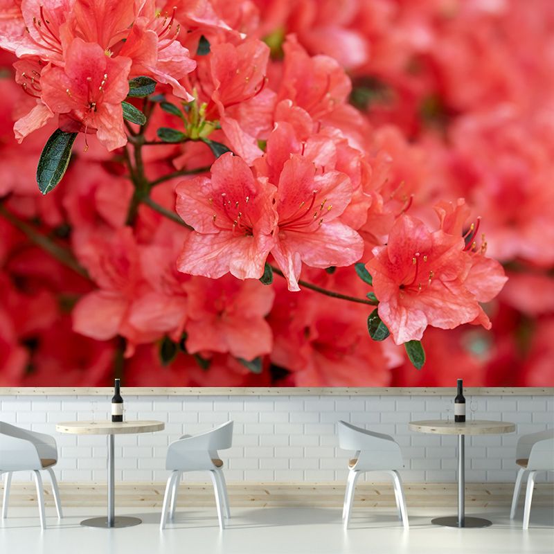 Azalea Flowe Mural Decal Contemporary Wallpaper Eco-friendly Wall Decor for Bedroom