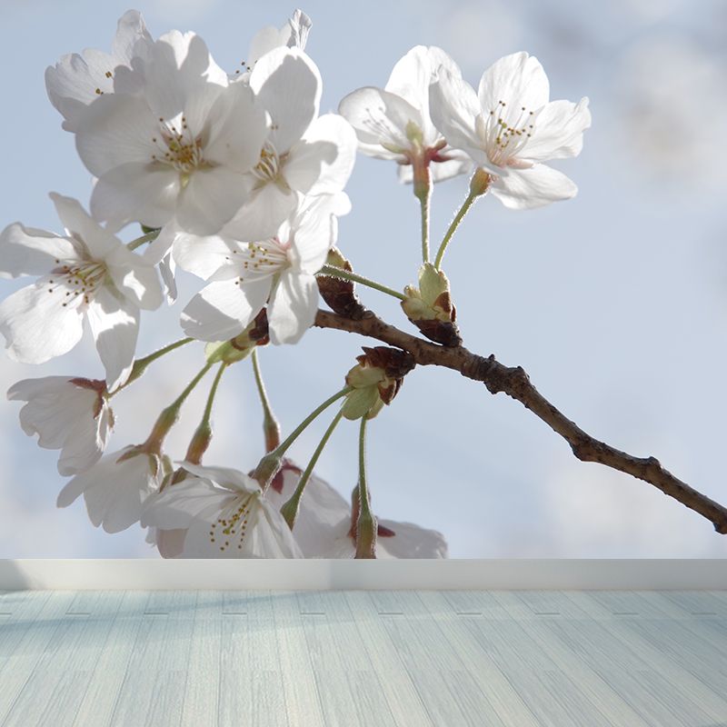 White Blossom Mural Wallpaper Moisture Resistant Modern Living Room Wall Covering