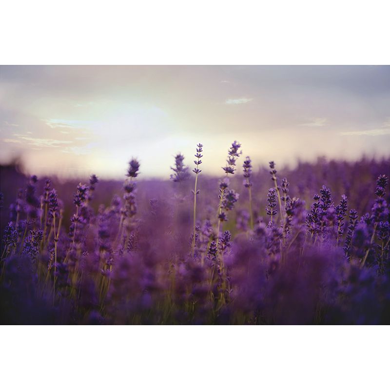 Modern Style Photography Wall Mural Wallpaper Flower Field Bedroom Wall Mural