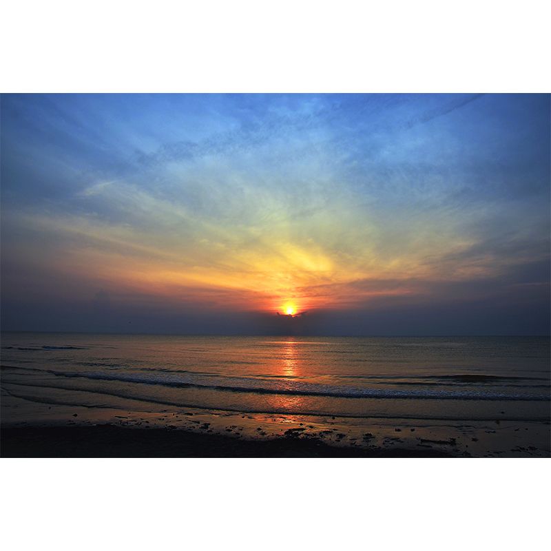 Beach Simple Mural Wallpaper for Living Room Wall Covering in Soft Color