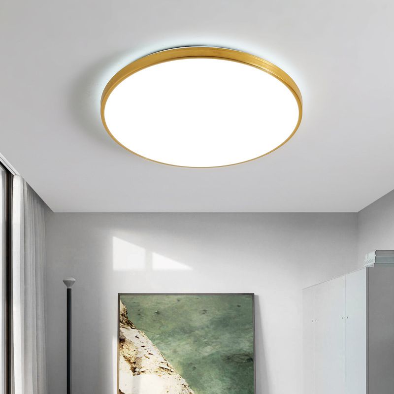 Modern Led Fixture Flush Mount Lighting Fixture Acrylic and Metal Lampshade for Corridor