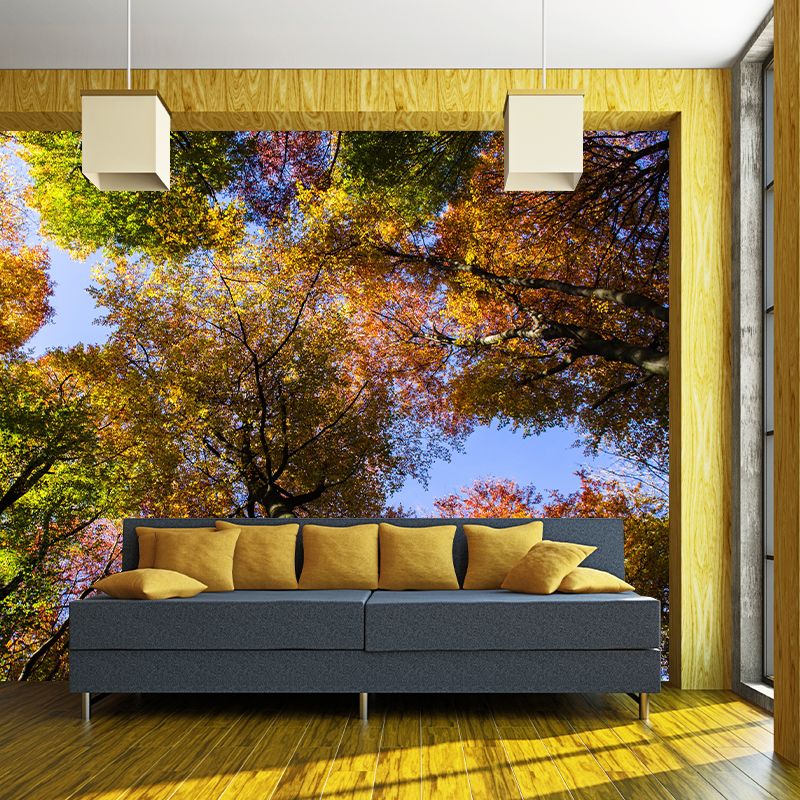 Beautiful Forest Mural Wallpaper Decorative Mildew Resistant Home Decor