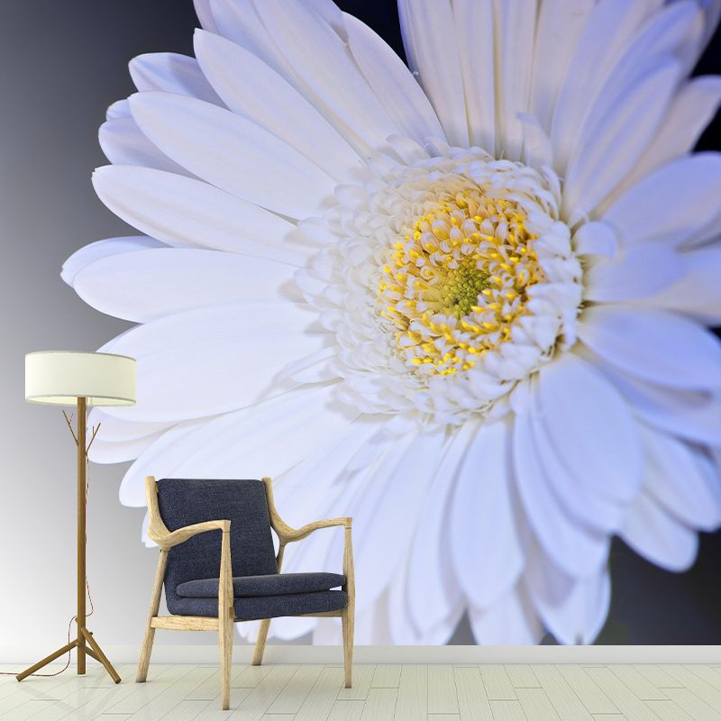 Customized Gerbera Wall Mural Horizontal Photography for Sleeping Room Decoration