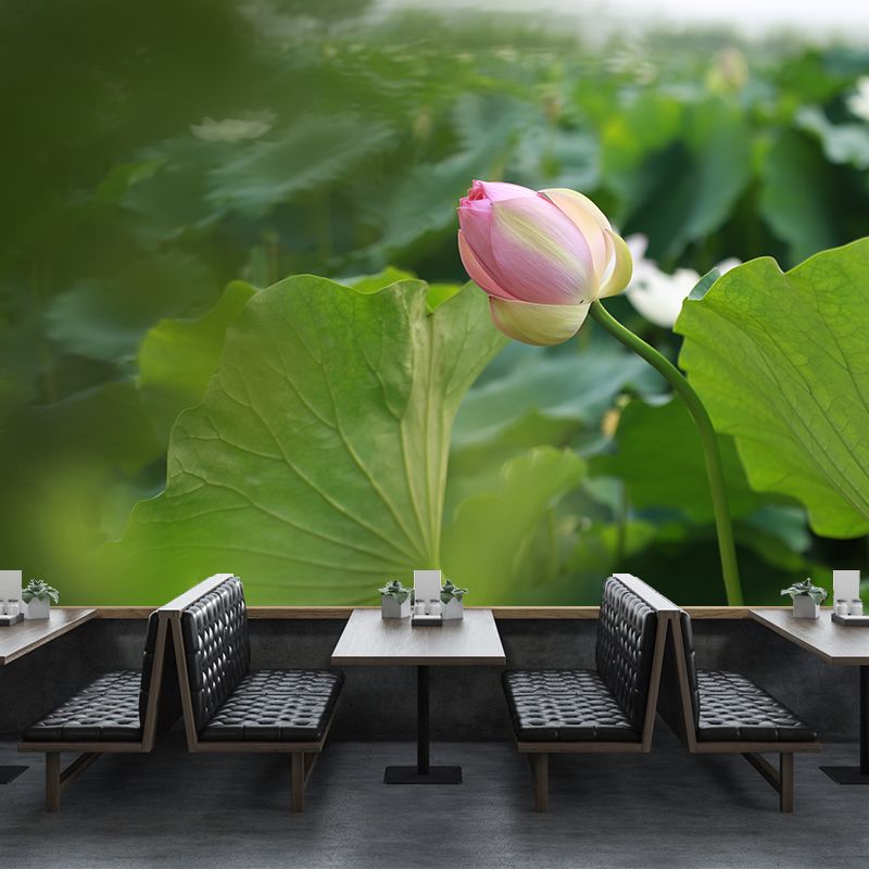 Lotus Leaf and Lotus Mural Wallpaper Stain-Resistant Wall Decor for Guest Room