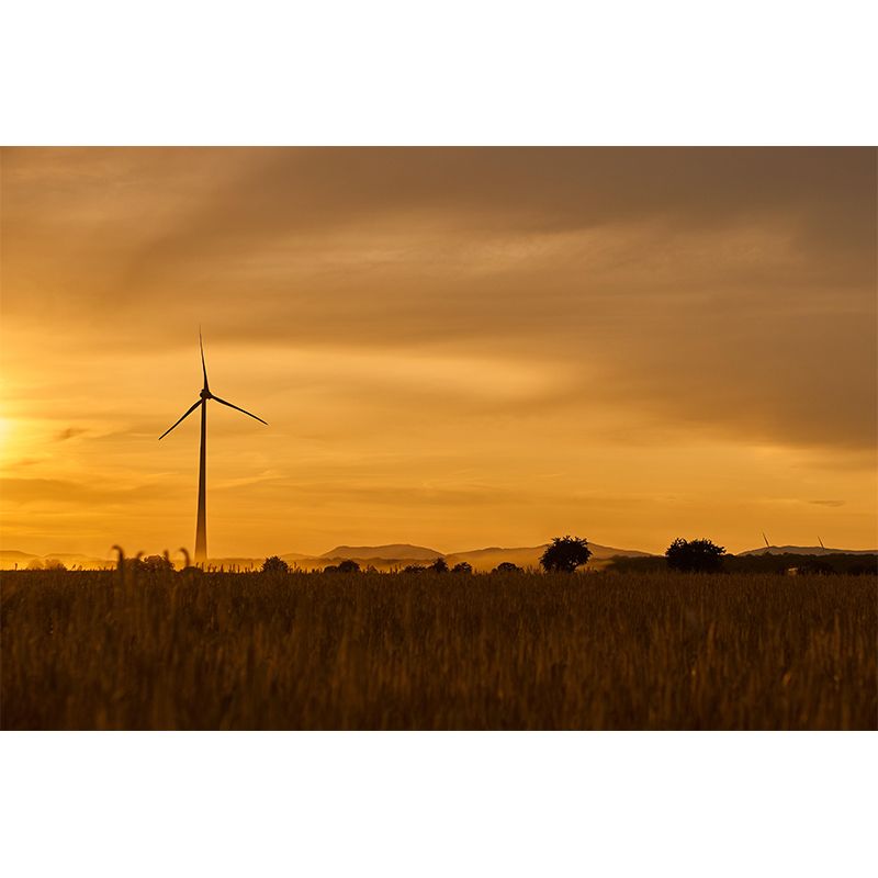 Modern Sky Landscapes Mural Environment Friendly Wall Art in Bright Color