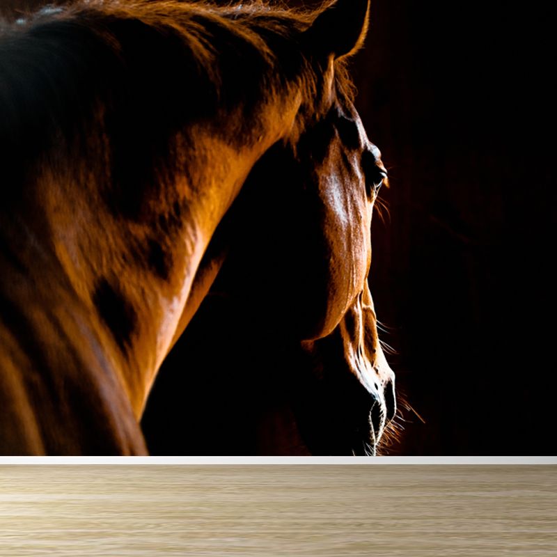 Full Size Photography Modern Mural Wallpaper with Running Steed Printed in Black