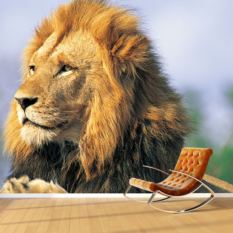 Brown Lion Looking Afar Mural Water Resistant Modern Bedroom Wall Covering, Made to Measure