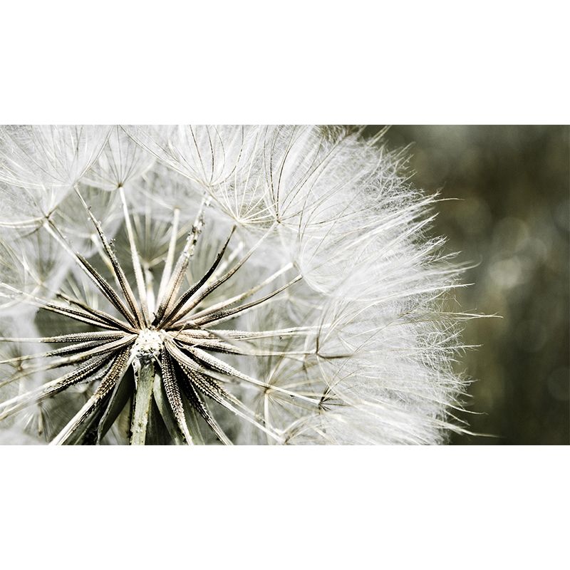 Contemporary Dandelion Mural Environment Friendly Wallpaper for Living Room