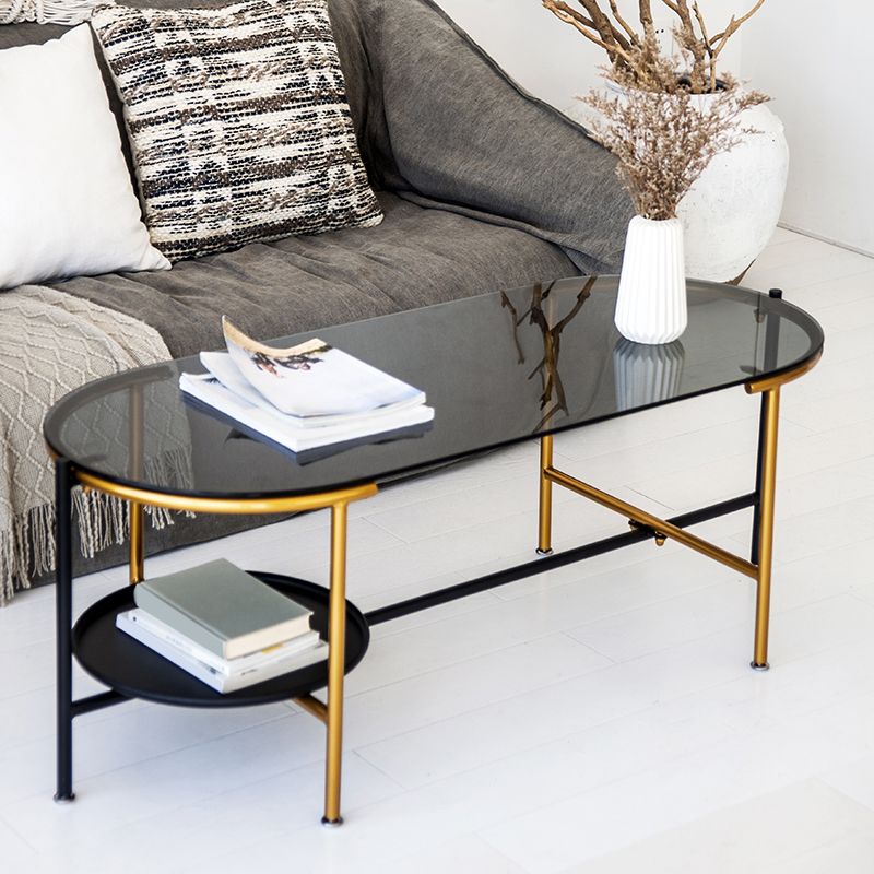 Modernism Elliptical Glass Top Coffee Cocktail Table with Shelf