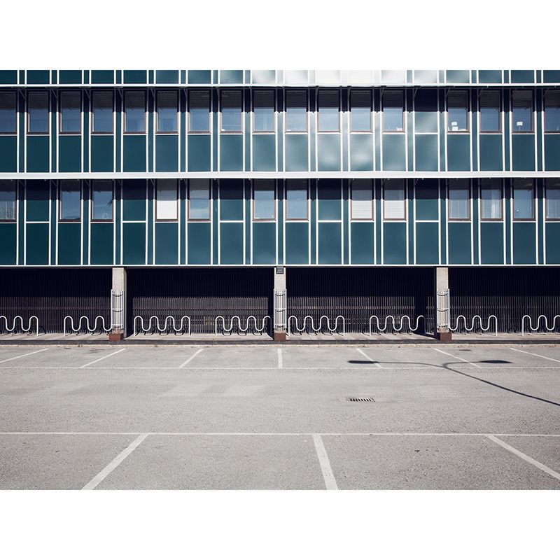 Moisture Resistant Construction Mural Wall Covering for Room Decoration