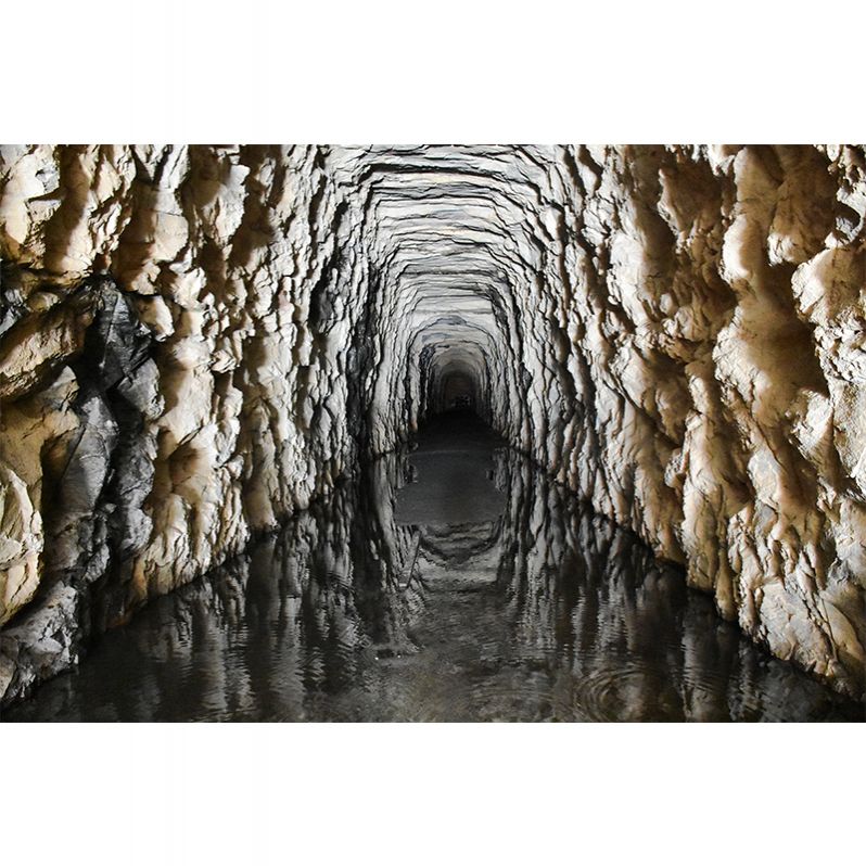 Mildew Resistant Tunnel Mural Wallpaper 3D Scene Wall Decor Bedroom Wall Murals