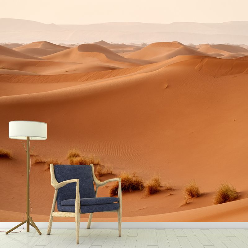 Nature Landscape of Desert Wall Mural Moisture Resistant Contemporary Wallpaper