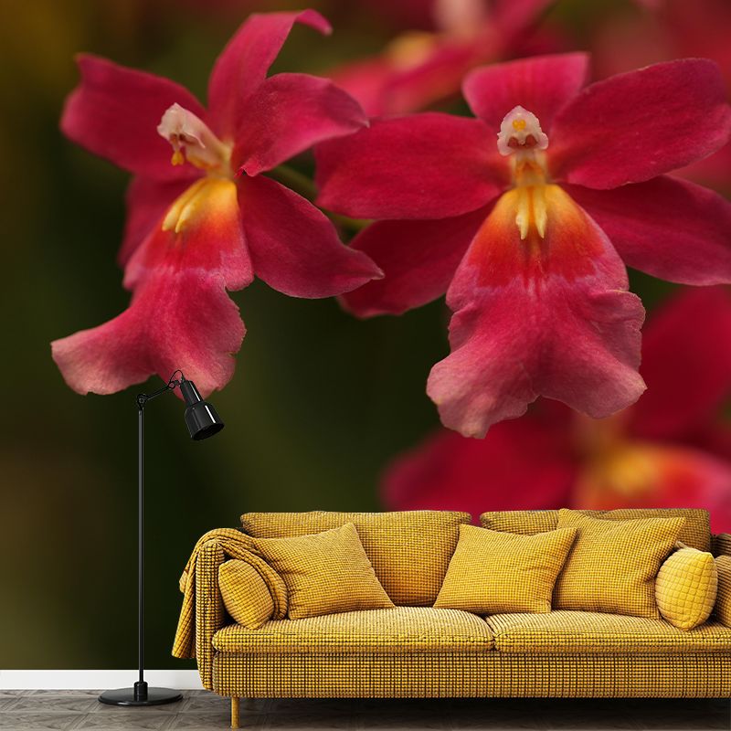 Customized Orchid Mural Wall Covering Decorative Mildew Resistant for Living Room