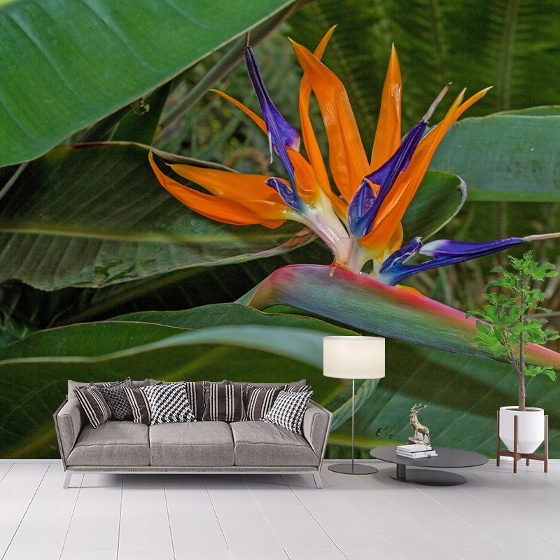 Bird of Paradise Flower Mural Wall Covering Decorative Mildew Resistant for Living Room