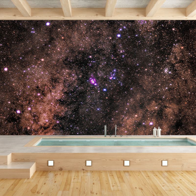 Environmental Photography Mural Wallpaper Cosmos Indoor Wall Mural