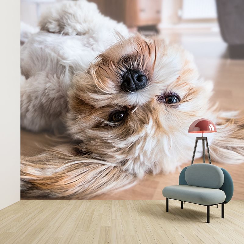 Modern Photography Mural Wallpaper Pet Dog Indoor Wall Mural