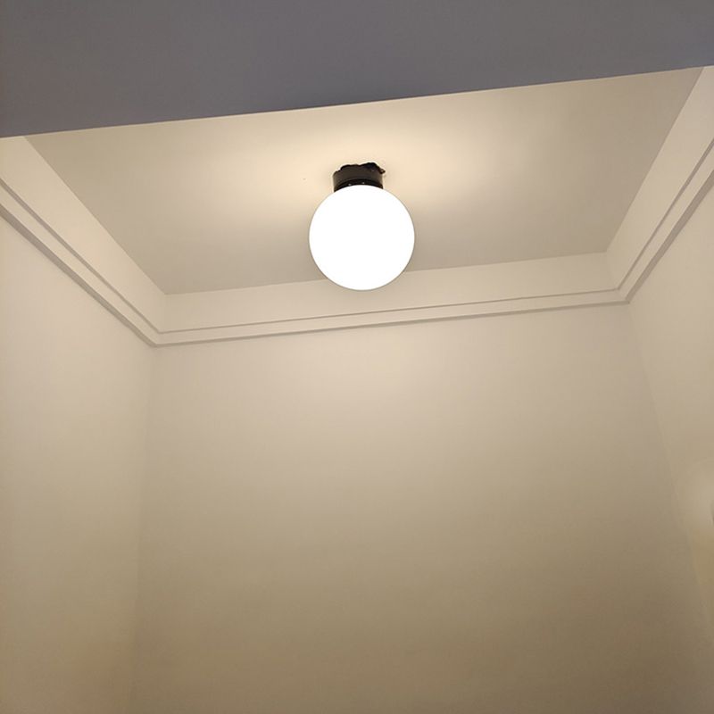 Modern Simple Spherical Shape Ceiling Lamp Iron 1 Light Ceiling Light for Corridor