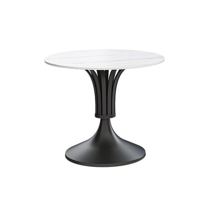 Modern Style Round Dining Table Sintered Stone Table with Pedestal Base