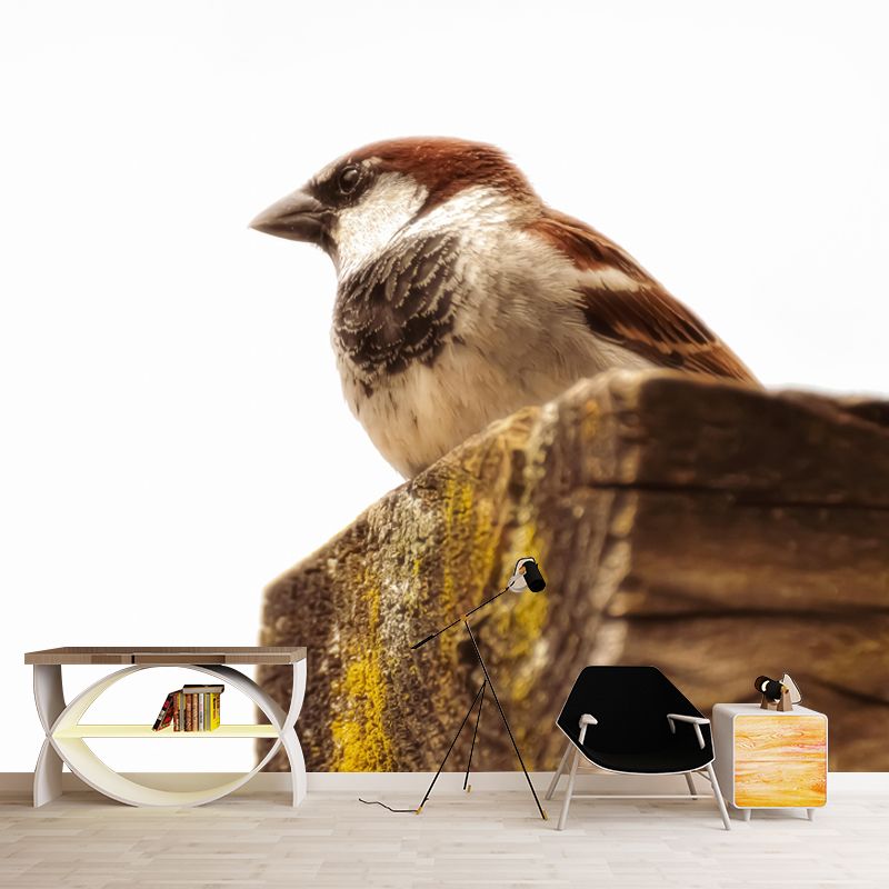Modern Sparrow Mural Wallpaper Moisture Resistant Living Room Wall Covering