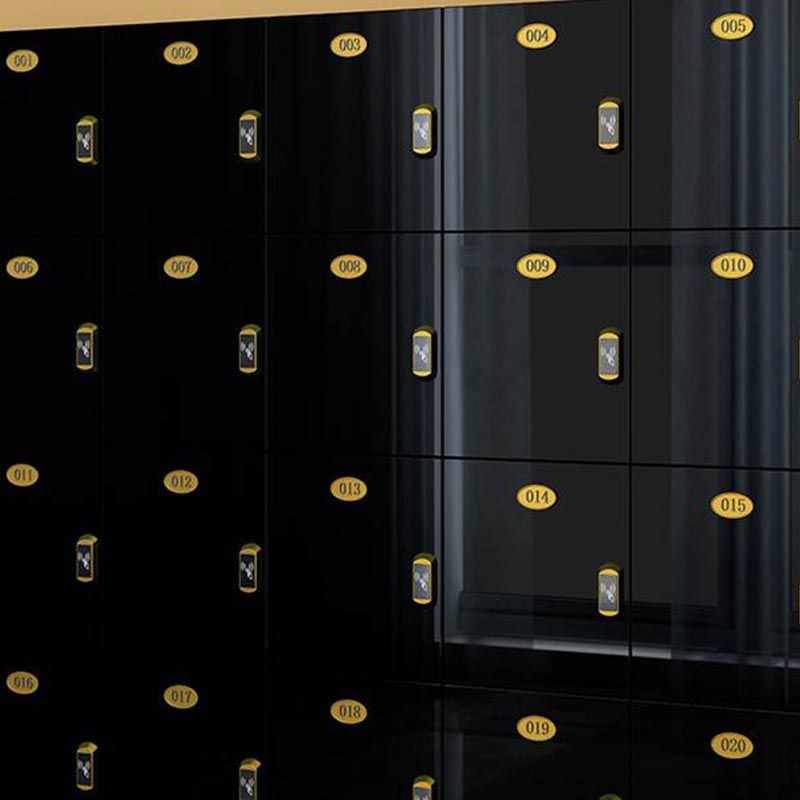 Modern Mirrored Finish Non-Hanging Armoire Manufactured Wood Storage Cabinet