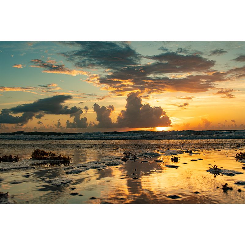 Sandy Beach Personalized Size Minimalist Wall Decor for Sleeping Room, Waterproofing