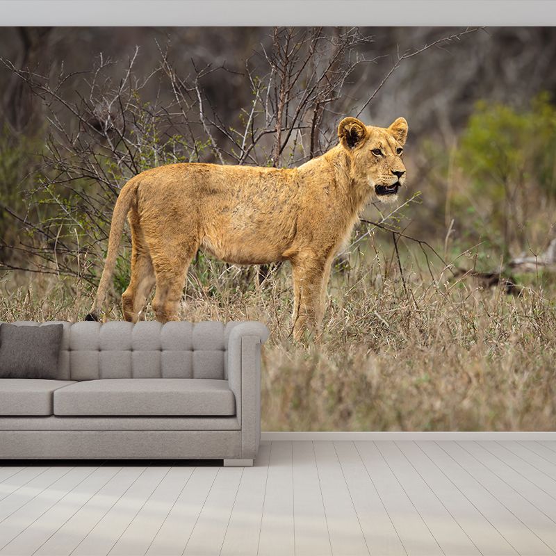 Lioness Mural Environment Friendly Wallpaper Home Decoration for Living Room