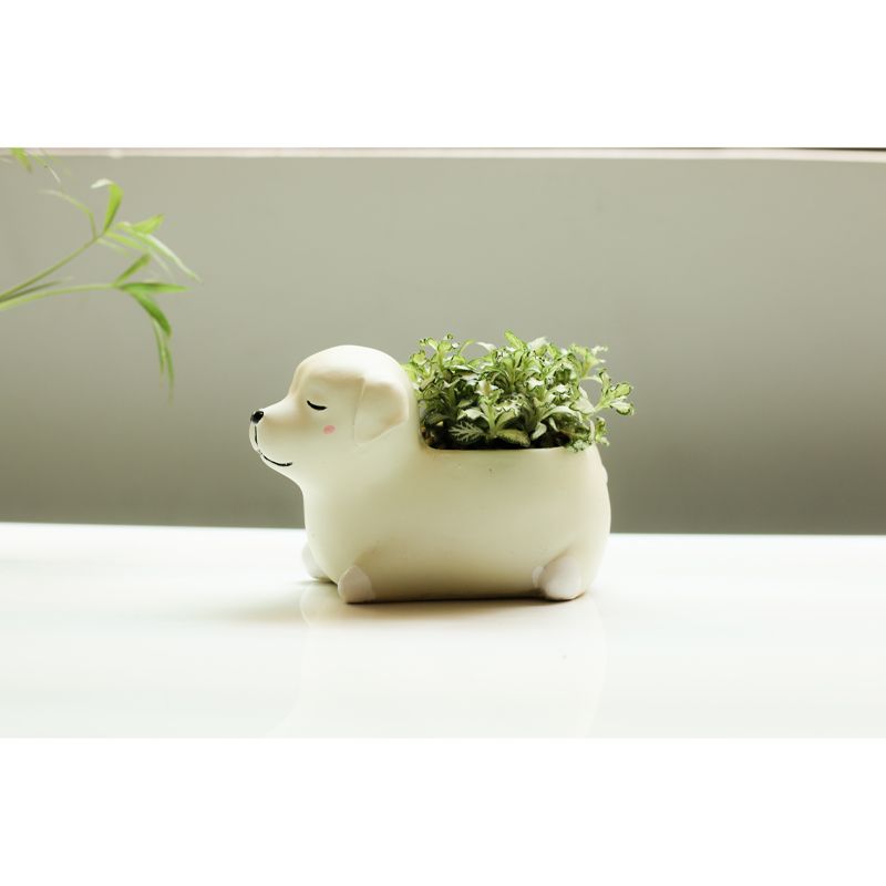 Potted Plants Indoor Decorations Wall Mural for Sitting Room, Moisture Resistant