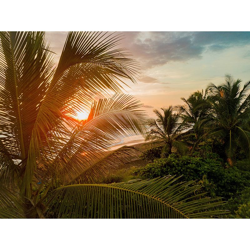 Environment Friendly Resistant Mural Wallpaper Tropic Sleeping Room Wall Mural