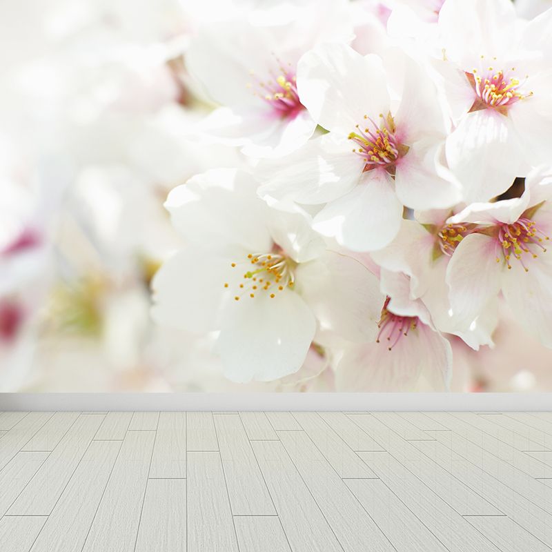 Whole Cherry Mural White Non-Woven Texture Wall Art for Indoor Decor, Personalised