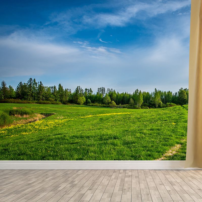 Sky Photography Mildew Resistant Wallpaper Living Room Mural Wallpaper