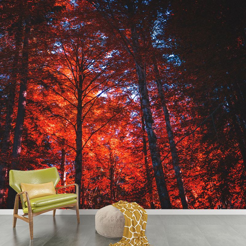 Photography Woods Mural Mildew Resistant Wallpaper Sleeping Room Wall Mural