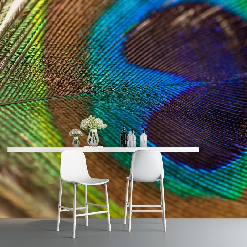 Peacock Feather Mural Wallpaper Mildew Resistant Wall Covering for Decoration