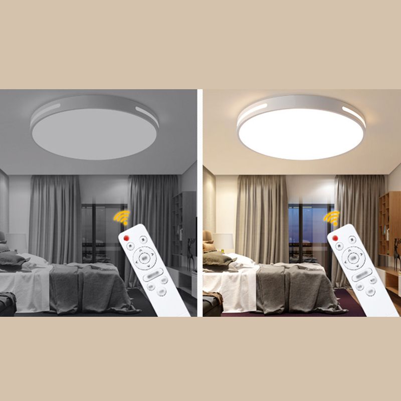 Lámpara de techo nórdica moderna y sencilla personalidad estudio de Sala de estar LED ultradelgado lámpara de ahorro de energía de caballo de hierro