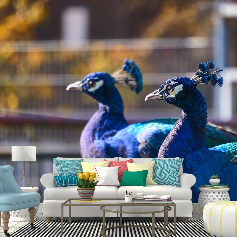 Blue Peacock Mural Decal Modern Style Washable Home Decor, Custom Size