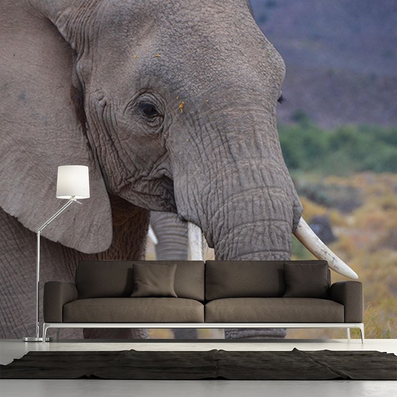 Customized Elephant Wall Mural Horizontal Photography for Sleeping Room Decoration