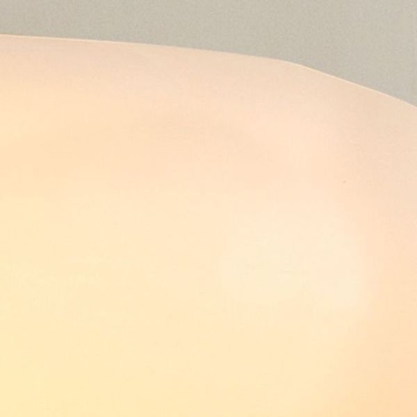 Acrylic LED Flush Mount in Modern Simplicity Cloud Shape Ceiling Light in White