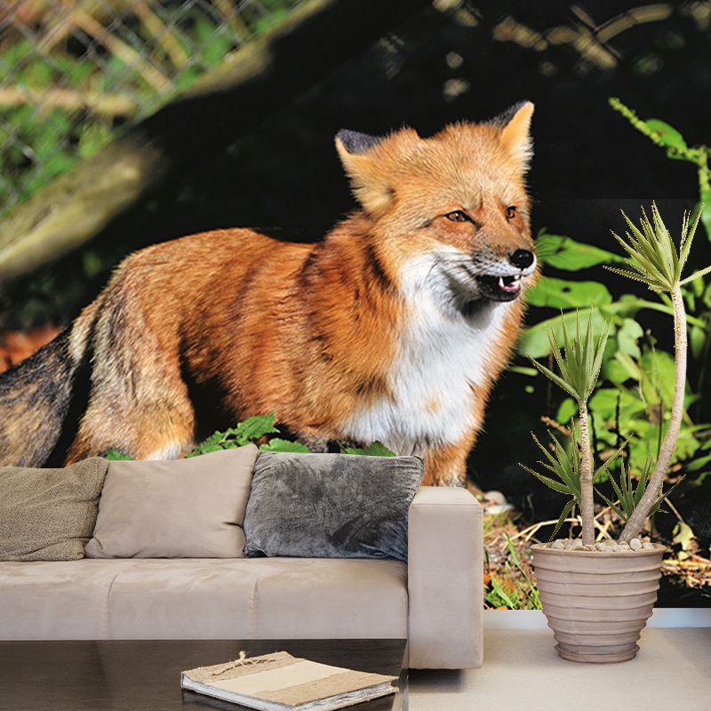 Customized Red Fox Wall Mural Horizontal Photography for Sleeping Room Decoration