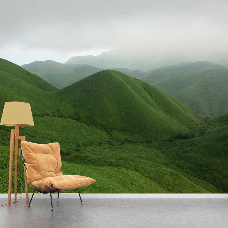 Mountain View Wall Mural Wallpaper Modern Style Mildew Resistant for Dining Room