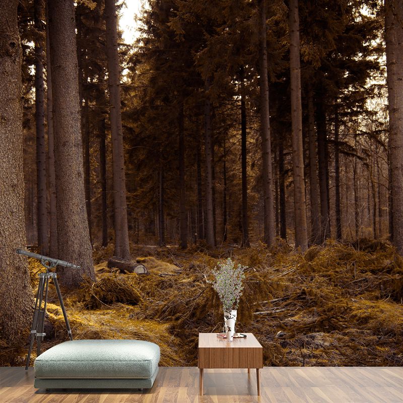 Modern Style Forest Mural Wallpaper Decorative Mildew Resistant Wall Decor