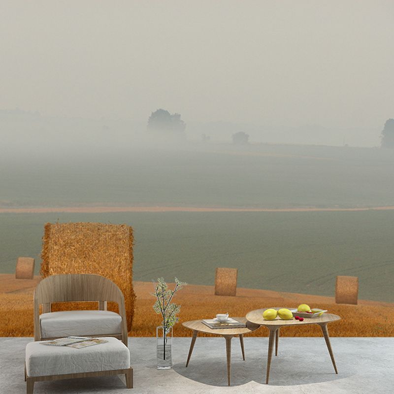 Beautiful Photography Mural Wallpaper Wheat Field Indoor Wall Mural