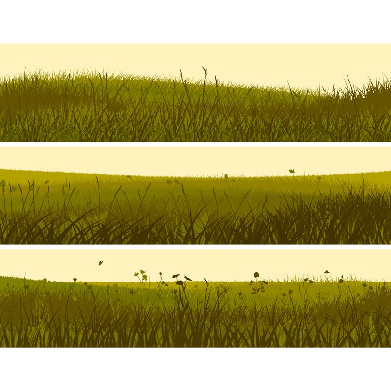 Illustration Grassland Mural Decal for Living Room, Green, Custom Size Available