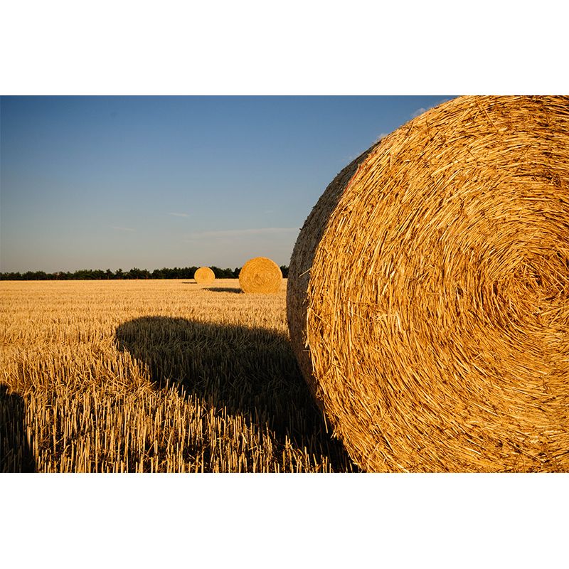 Farmland Haystack Mural Wallpaper Contemporary Non-Woven Fabric Wall Decor for Home