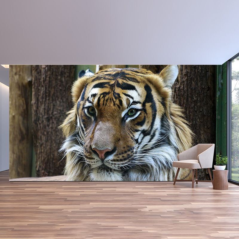 Cool Tiger Jungle Animal Mural Wallpaper Contemporary Wall Covering for Sitting Room