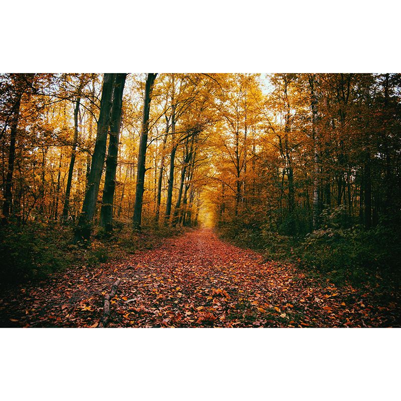 Yellow Forest Mural for Sleeping Room Moisture Resistant, Custom Size Available