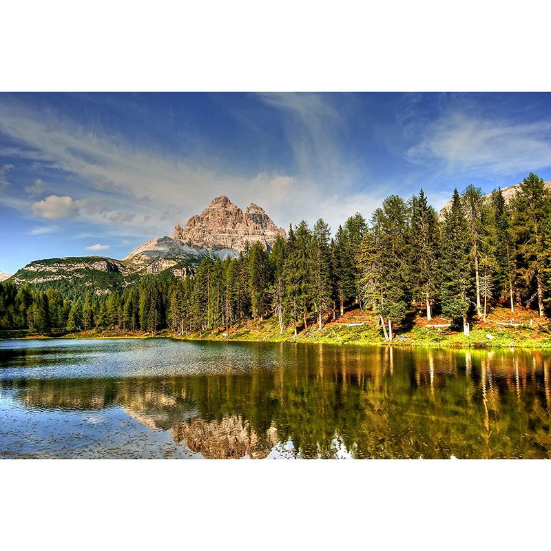 Forest Wallpaper Contemporary Photography Wall Mural Sitting Room Wall Covering