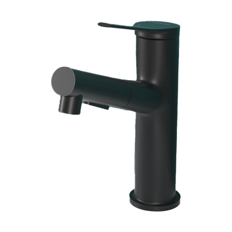 Modern Style Centerset Faucet Lever Handle Faucet for Bathroom