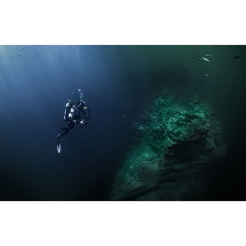 Customized Tropical Underwater World Mural Wallpaper Mildew Resistant for Wall Decor